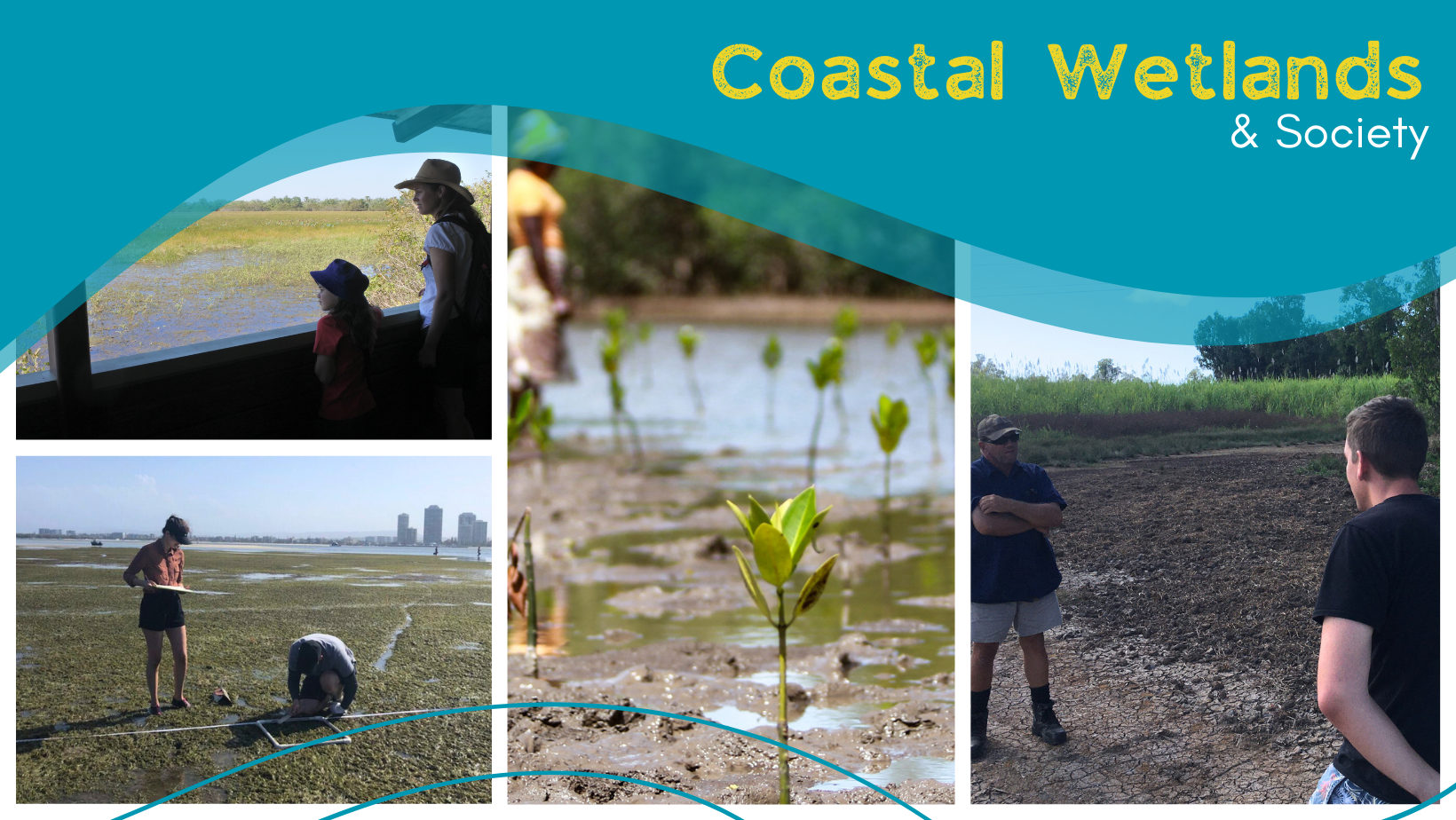 Open Session: Restoration of Coastal Wetlands